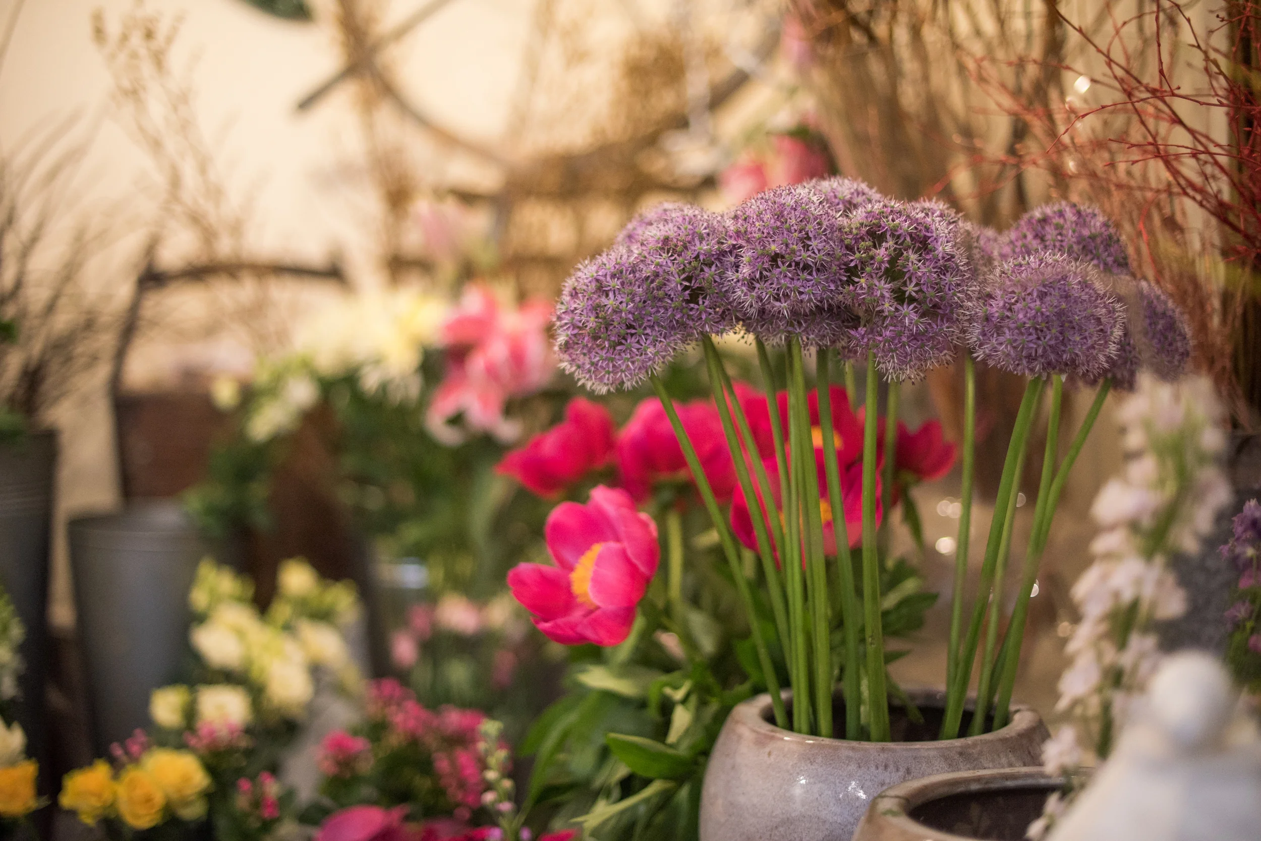 our shop — the flower shop hythe